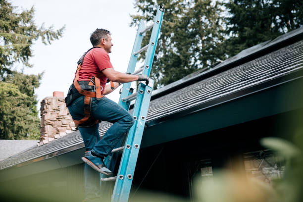Best Roof Insulation Installation  in Felton, CA
